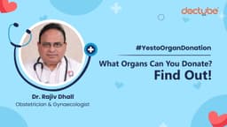 What Organs Can You Donate? Find Out What Organs Can You Donate? Find Out